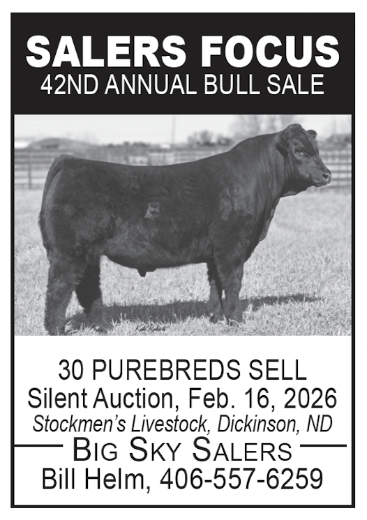 SALERS FOCUS - 42nd Annual Bull Sale